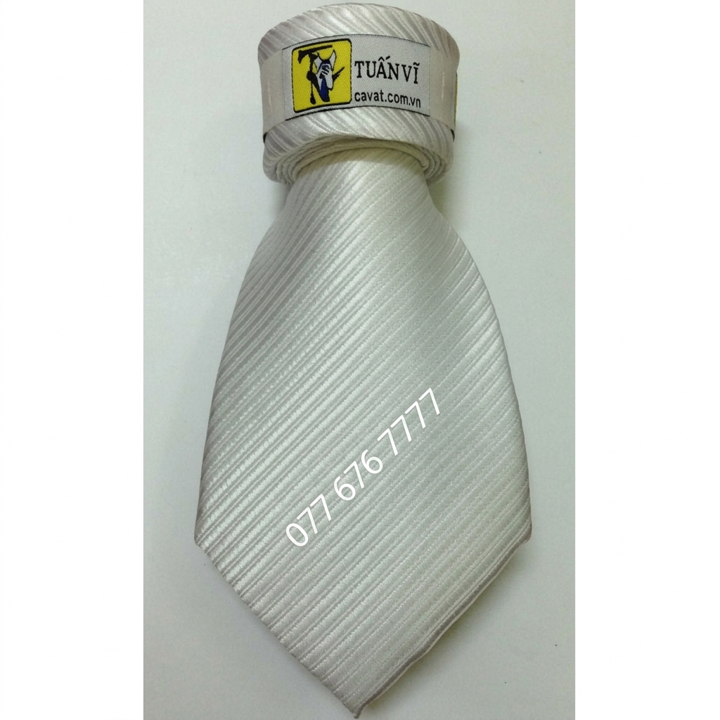 Cà Vạt silk gân 01