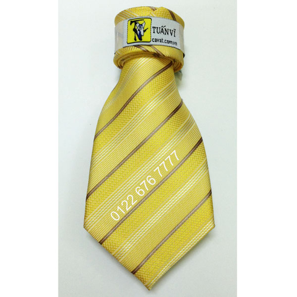 Cà vạt silk sọc 04