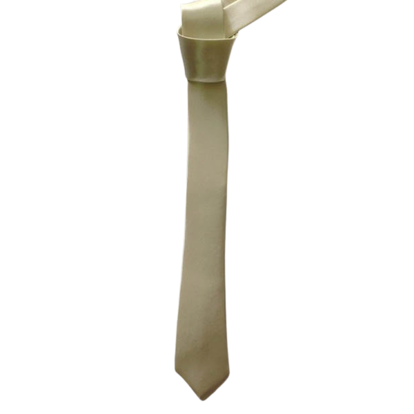 Cà vạt vải phi 05